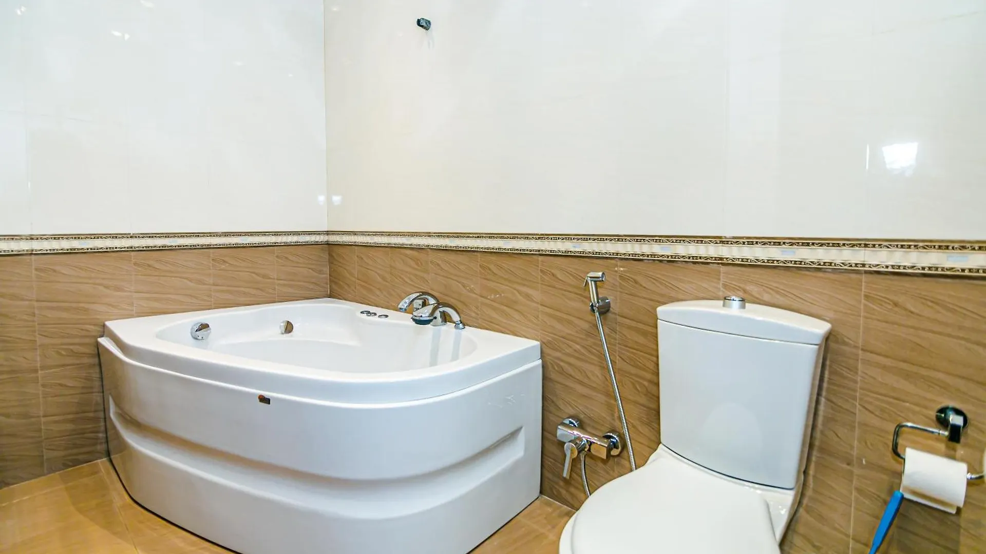 Shapfir Apartment One Bedroom Bakü